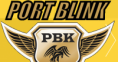 /album/galeria-de-fotos-the-king-pc-computadores/pbk-png/